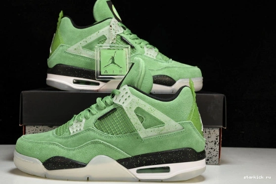 AJ4-904284 4 PE  Air Oregon Duck  Jordan Green AJ4-904284 1114